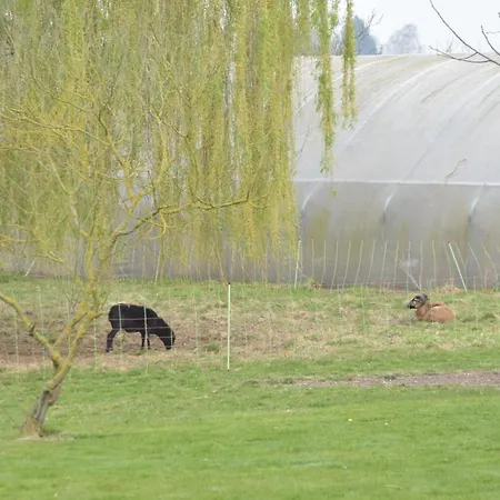 Pensión Les Du Galant 