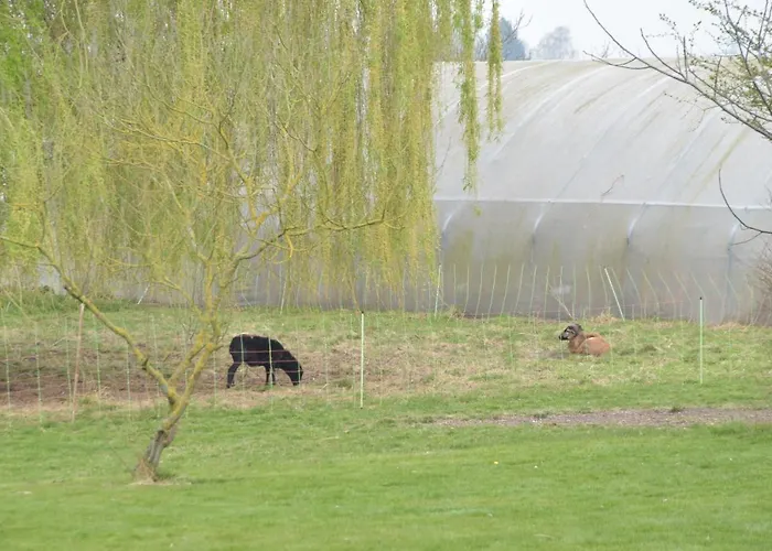 Maison d'hôtes Les Du Galant La Campagne Qui Murmure 3*
