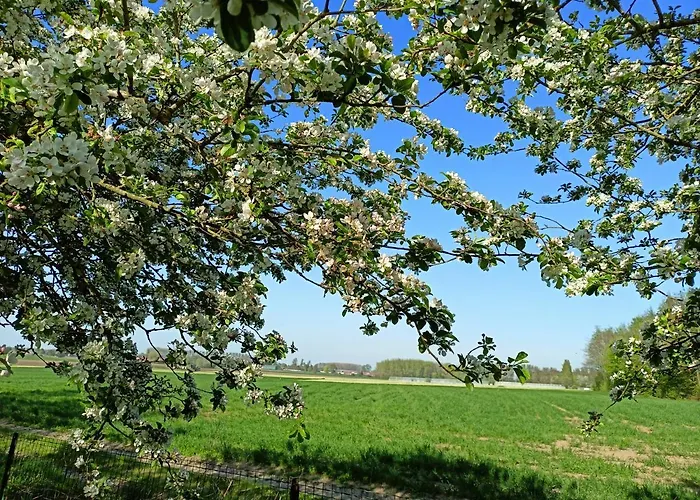 Les Du Galant La Campagne Qui Murmure Maison d'hôtes 3*